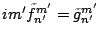 $im' \tilde{f}_{n'}^{m'}
= \tilde{g}_{n'}^{m'} $