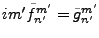 $ im' \tilde{f}_{n'}^{m'}
= \tilde{g}_{n'}^{m'} $