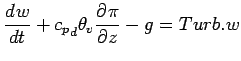 $\displaystyle \DD{w}{t} + {{c_{p}}_{d}} \theta_{v} \DP{\pi}{z} - g = Turb.w$